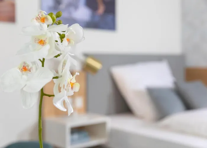 Nino-boardinghouse 26 公寓 诺德霍恩